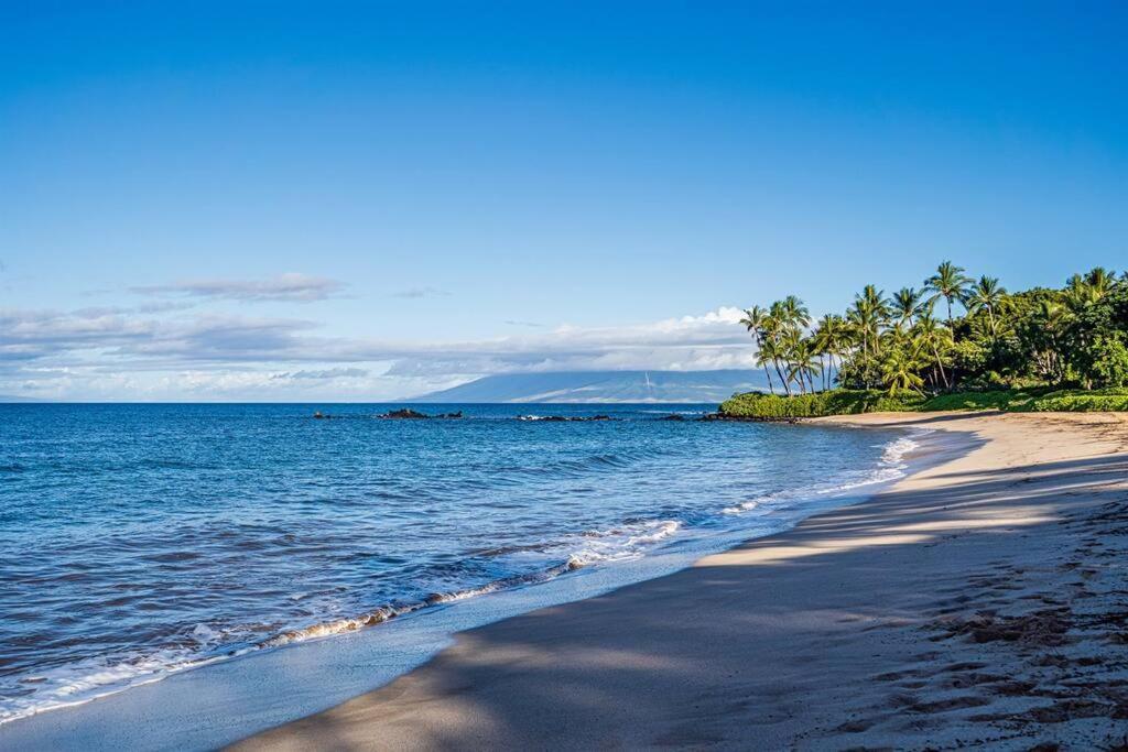 Aloha Moon - A Chic And Dreamy Modern Tropical Hideaway! Apartman Wailea  Kültér fotó